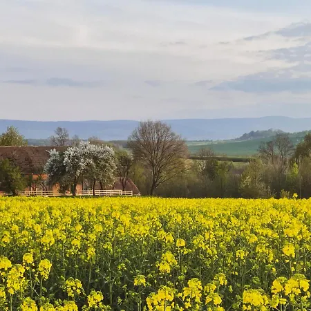 Dom Na Krzewiu 3* Gryfów Śląski