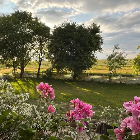 ベッド・アンド・ブレックファスト Dom Na Krzewiu 3*