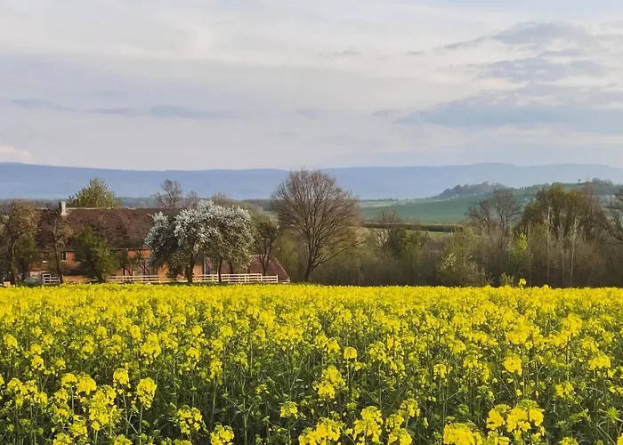 Dom Na Krzewiu 3* Gryfow Slaski