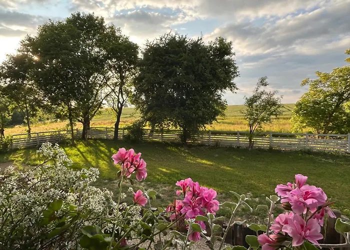 Bed & Breakfast Dom Na Krzewiu 3*